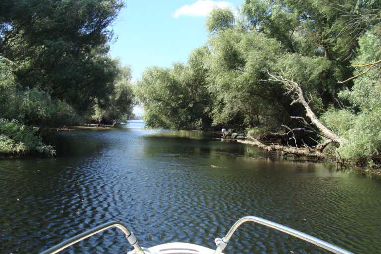 Boat trip in the Danube Delta