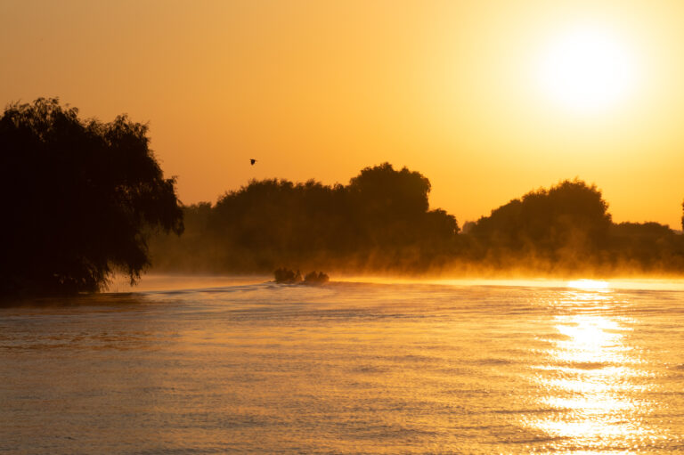 Sunset on a misty river