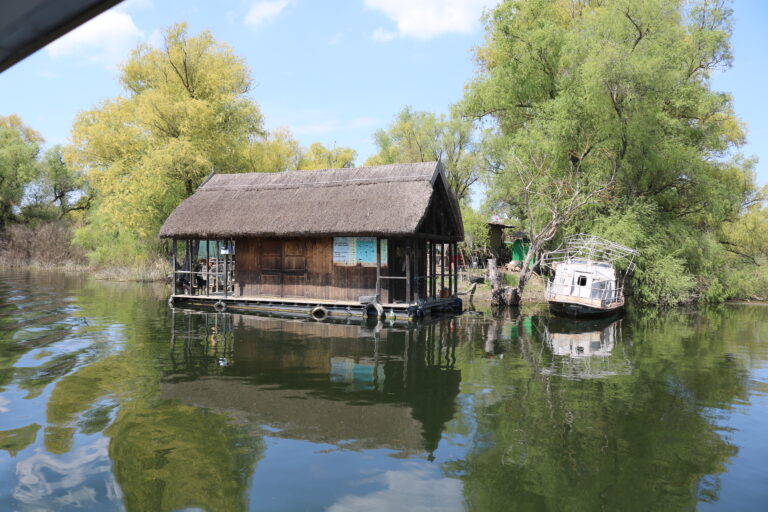 Floating house and boat in the Danube Delta.