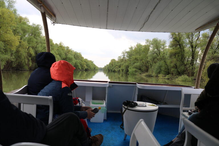 Tur cu barca pe râul din pădurea verde.