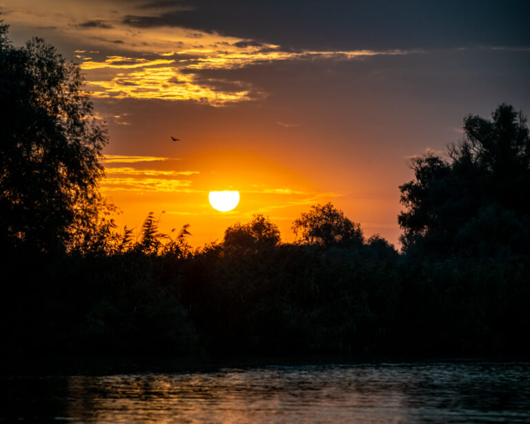 Sunset over the tree-covered river.