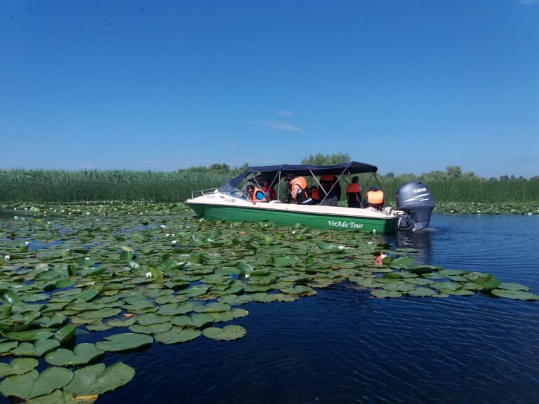 Tourist boat on the river with water lilies.