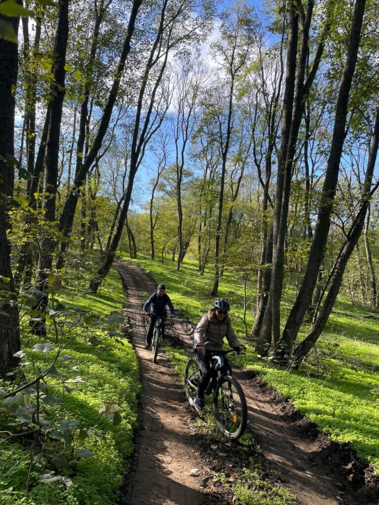 Cycling in the forest on a footpath.