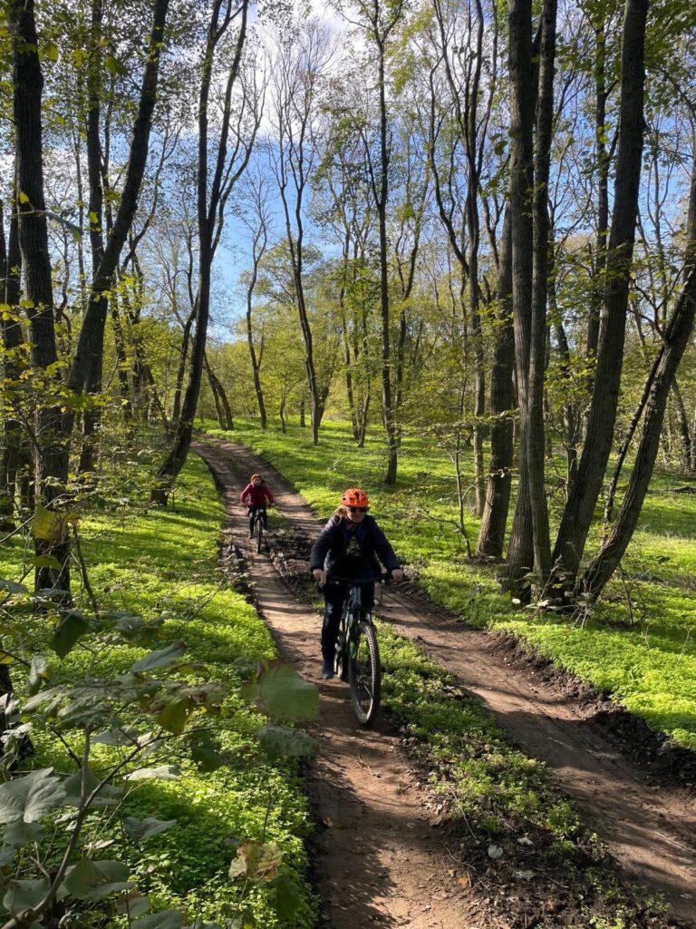 Cyclists through the forest, dirt road.