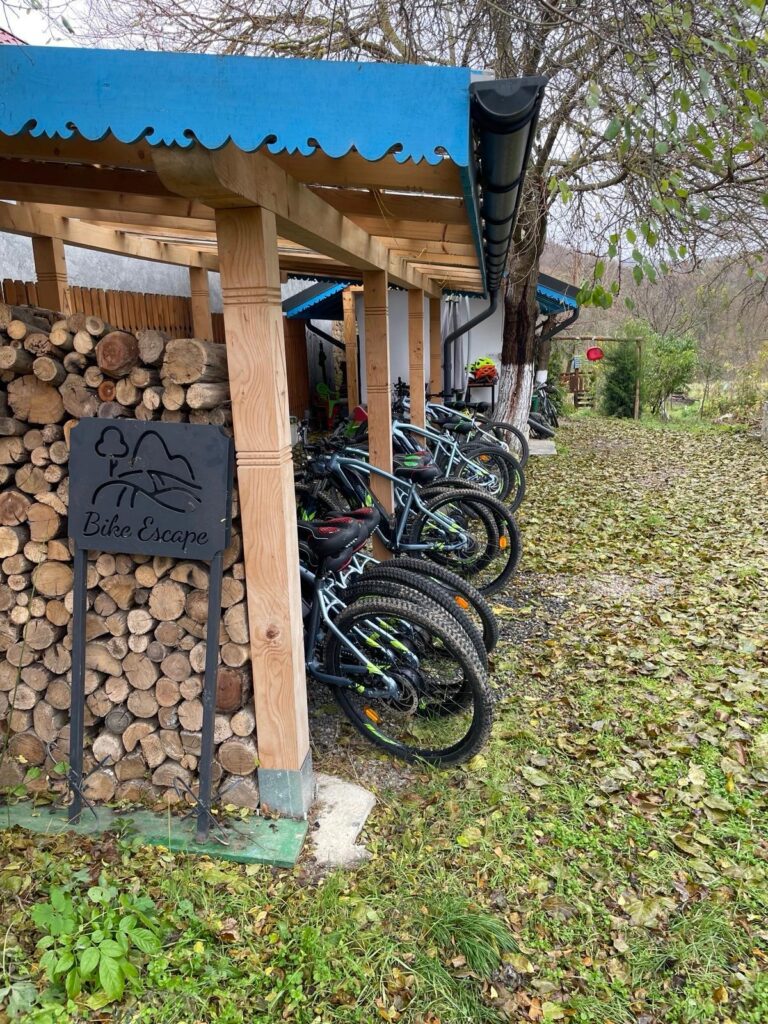 Bikes parked near a shelter, autumn